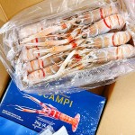 【澳新海鲜】新西兰南极深海小龙虾鳌虾Scampi(Nelson蓝盒)最新日期 2kg/盒 1号:约14-20只/盒，约28-32cm/只